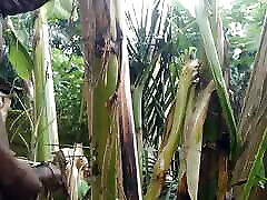 Man all alone In the Forest and make the plantain tree is wife and Fuck on it