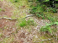 272 titslaps in open nature