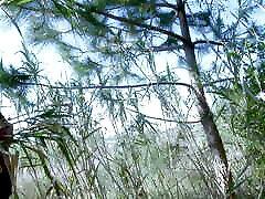 anale nel bosco con mademoiselle justine durante un episodio di culanta