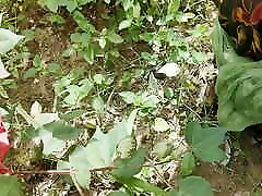 Bhabhi ki bbw boy and anty chudai in kapas ke khet me , Jungal me Indian village bhabhi