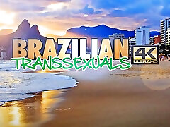 BRAZILIAN TRANSSEXUALS Hot Combo Stars