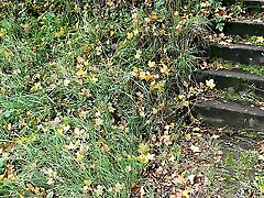 Naked tits on the railway line