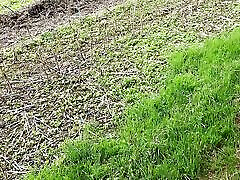 स्तन के साथ सह पर यह जंगल में