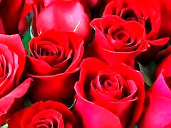 Bangla choto golpo beautiful mature new hot choti golpo full Bangla choti golpo