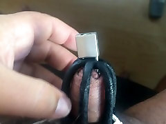 small penis pierced and locked in chastity