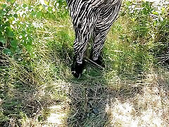 Boobs clapping on the meadow