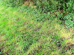 In the field her naked breasts beaten