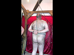 Punishing piggy, will he learn his lesson?