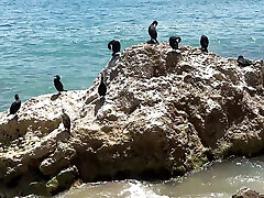 Tim Blesh Visiting Sitges Beaches First Time