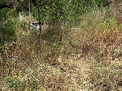 francese 1 week seachbeauty busty fuck movie e marito in cap d & 039;agde nudisti resort