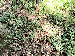 Tits happy hour in the woods