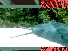 LIL UGLY MANE - OBLIVION ACCESS FULL ALBUM LIL UGLY MANE - OBLIVION ACCESS FULL ALBUM