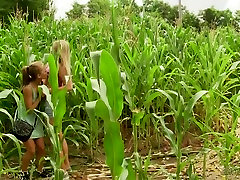 Palatable amateur girls live sex purn licking each other in the field