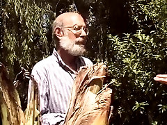 Old men share a cue stroke natalie heart in the garden