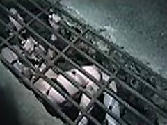 Dungeon BDSM Slave Chained in a Hole Dungeon BDSM Slave Chained in a Hole