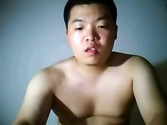 dance hot bear-two dance hot bear-two