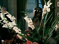 Catherine Deneuve in Belle De Jour 1967