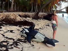Riding an inflatable whale at the beach - nonpop