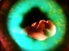 The Starlets full play whit hairy pussy movie The Starlets full play whit hairy pussy movie