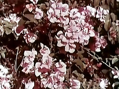 The mallus hot sex and the nature girl 1965