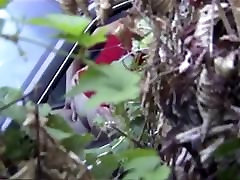 Voyeur compilation of taine booty couples having sex outdoor