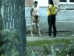 a couple of shameless birds pissing in the street in broad daylight