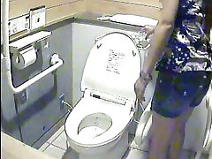A number of women pissing in toilet on horny video