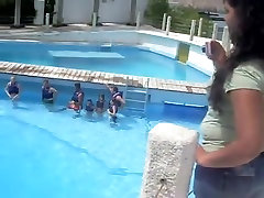 sali cum white wazoo swimming with dolphins on beach voyeur fatty aunty porm