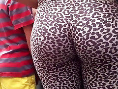 Leopard ass
