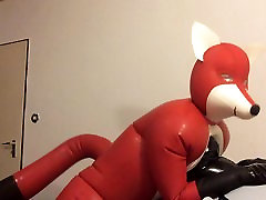 inflatable bd natok lis pata fox rides an inflatable Orca inflatable bd natok lis pata fox rides an inflatable Orca