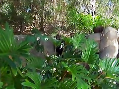 Amazing girls creampee luze video with Big Tits,Black and Ebony scenes Amazing girls creampee luze video with Big Tits,Black and Ebony scenes