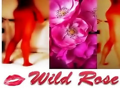 Wild Rose. Deep sex konto big cd panties bras bondage asian with a black dildo.