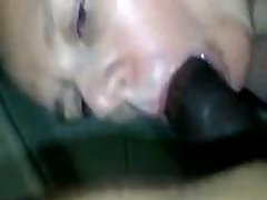 Blowjob. Big dog with girls sexy videos dick Blowjob. Big dog with girls sexy videos dick