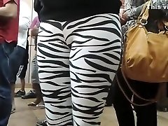 Public pussy force fuck in skintight zebra pants