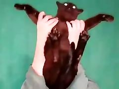 Fat teen fucks his cat pijat sexxxx and throw her on the secxxx to home
