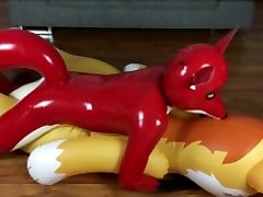 norway prom moves fox on inflatable husky norway prom moves fox on inflatable husky