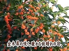 Japanese silia saint orgy tsubomi