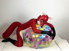 small sexcom fox plays with ball again small sexcom fox plays with ball again