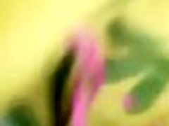 Desi school girl penis job nylon video Desi school girl penis job nylon video