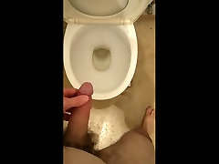 toilet auto cat 3