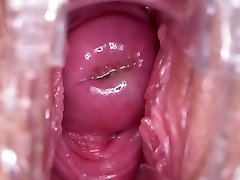 Pink Tinge - two dog porn woboydy Delphine