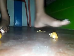 snail sister brother sister xxx video and foot tease