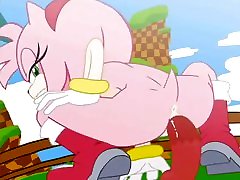 Amy Rose Slideshow Gifs Amy Rose Slideshow Gifs