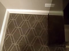 peeing around the hotel room on the carpet
