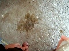 pissing on my bedroom carpet 1