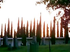 Dp link brother brunette whore fucked in cemetery