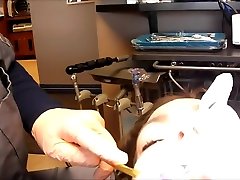 Braces Cleaning, findteen curves porn channel fetish