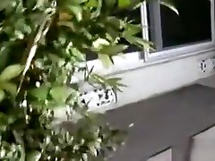 Legal Age Teenager Wench Sucks And Swallows