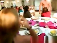 Real hot bokep pron tube indo cock sucking party