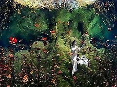 Schwarz-Witwen Diashow-Unterwasser-Kunst Anatoly Beloshchin
